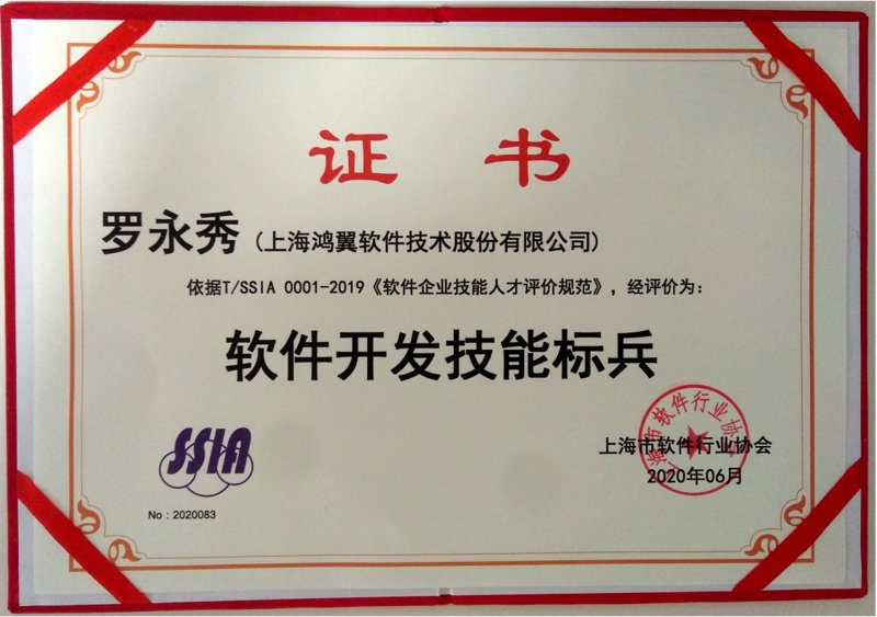 上海软件开发：构建科技桥梁的幕后英雄
